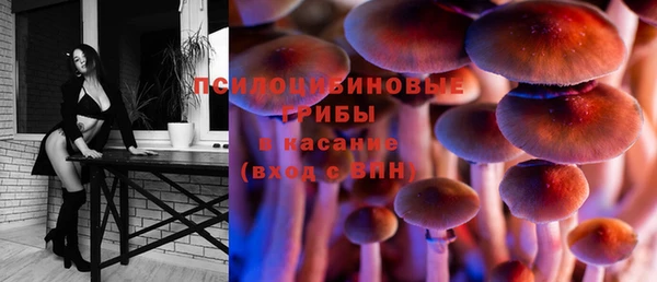 мет Богданович
